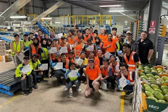 Panduan dan Jenis Pekerjaan yang Paling Diminati