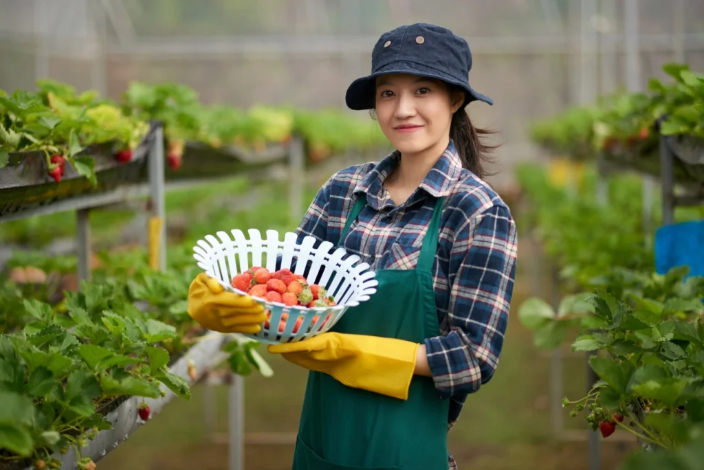 bekerja di farm Australia